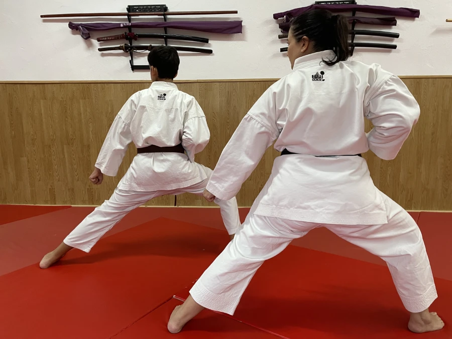 Kempo-Karate-GNKF-2.webp