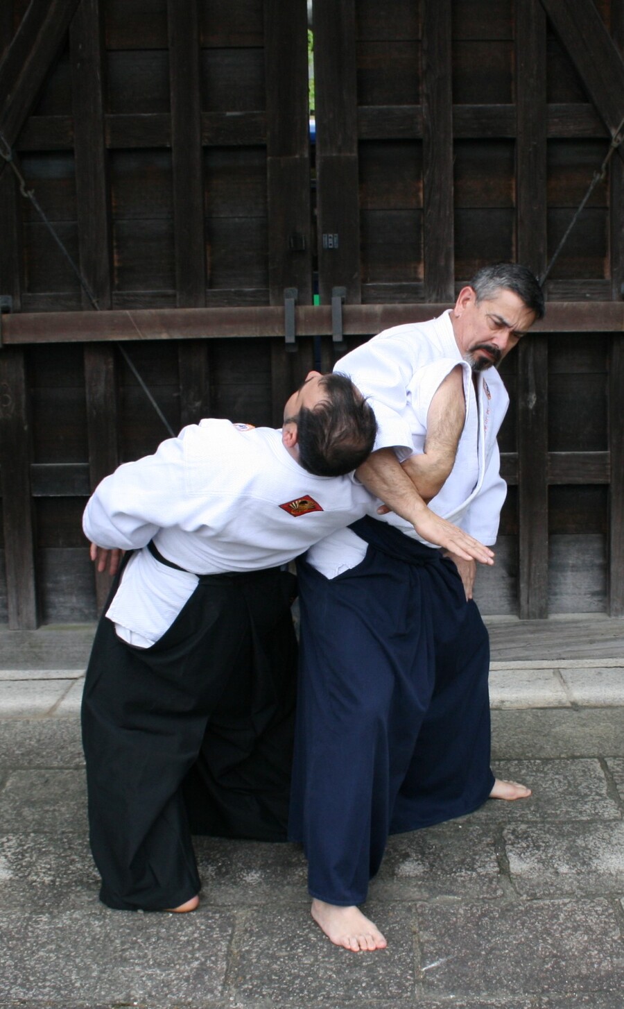 aiki-1.jpg